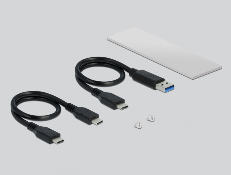 Delock external enclosure for M.2 NVMe PCIe SSD - 42634