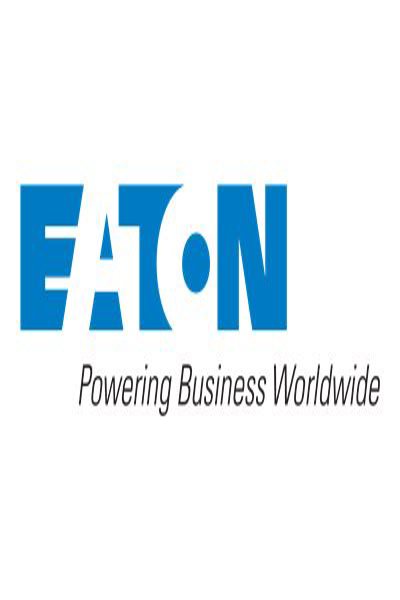 EATON power cable 10A CBLIN10EU - CBLIN10EU