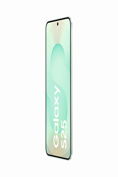 Samsung Galaxy S25 - 5G smartphone - SM-S931BLGDEUB