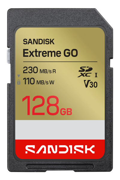 SanDisk Extreme SD UHS-I/s R - Secure Digital (SD) - SDSDXGN-128G-GNCIN