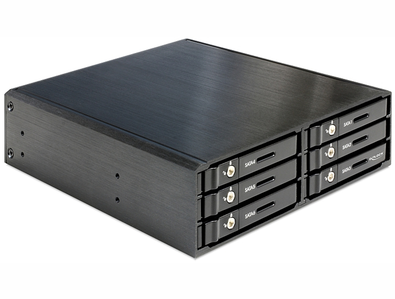 Delock 5.25" Mobile Rack for 6 x 2.5" SATA HDD / SSD - 47221
