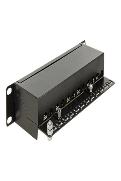 Delock Patchpanel - CAT 6 - RJ-45 X 12 - 43297