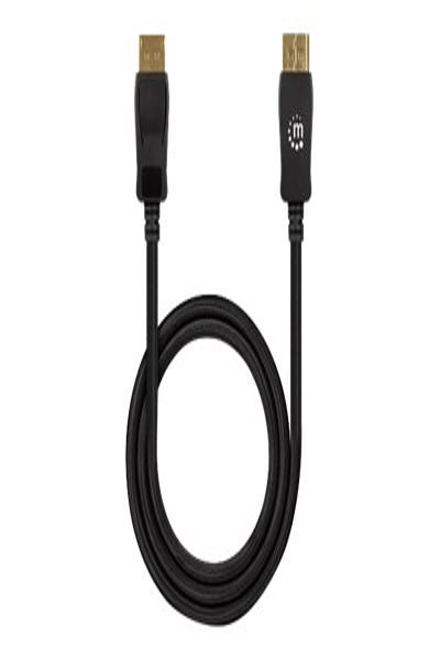 Câble Manhattan DisplayPort 1.4 2 m 8K à 60 Hz