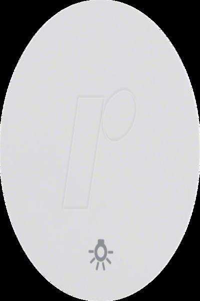 16202079