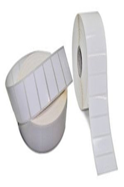 Zebra PolyE 3100T Glans - Polyeten (PE) - 3011715