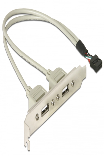 Delock USB panel - 10 pin USB header (M) to USB (F) - 71000