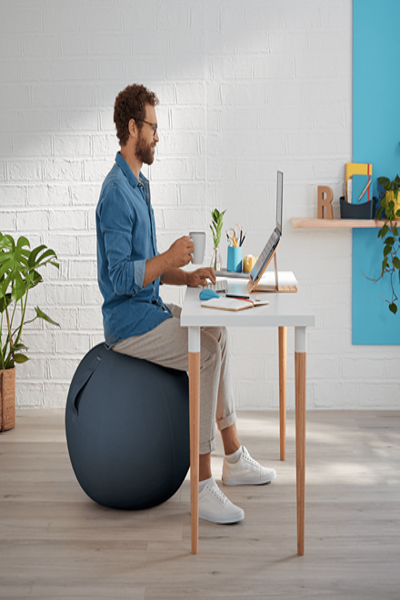 Esselte Leitz Ergo Sitzball Cosy grau