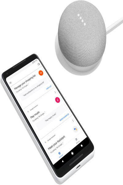 GOOGLE HOME MINI SPEAKER - GA00210-ES