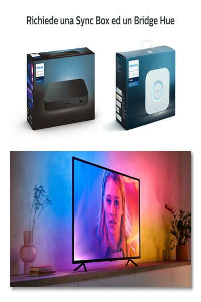 Bande dégradée Philips Hue Play 65" - 929002422801