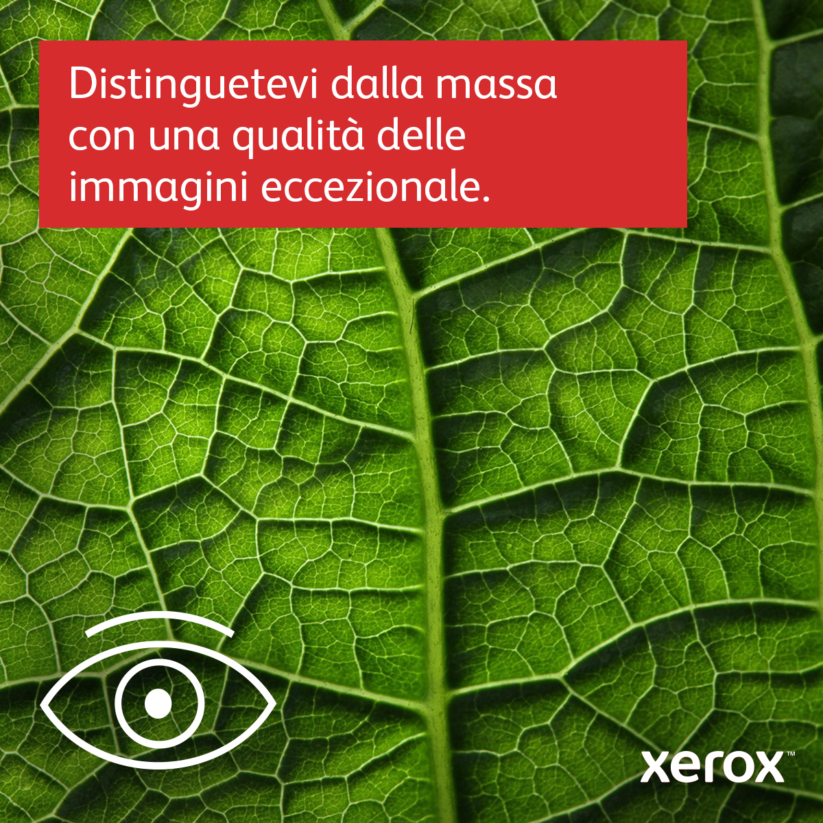 Xerox C230 Color Laser Printer - C230V_DNI