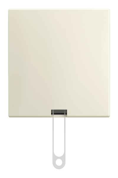 BUSCH JAEGER Zugschalter AP 2610/6 J-522