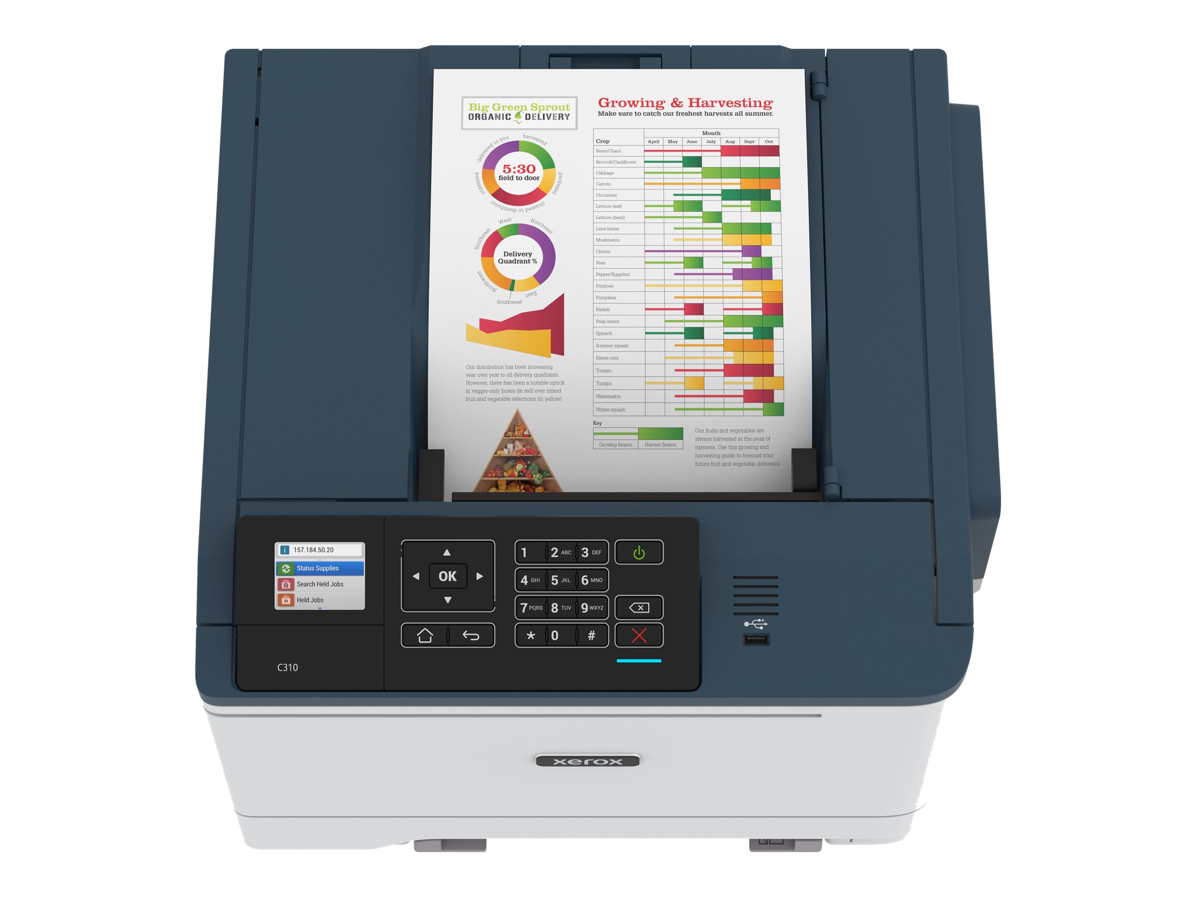 Xerox C310 Color Laser Printer - C310V_DNI