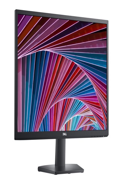 Dell SE2422H 24" LED monitor - 210-AZGT