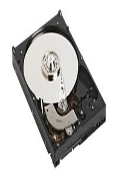 Dell-hårddisk - 500 GB - intern - 55RMX