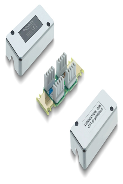 Delock Connection Box CAT 6 Network Ethernet Interface