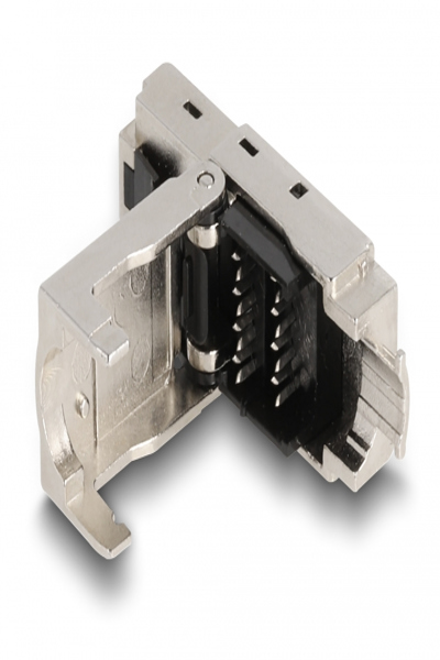 Delock Keystone jack - CAT 6a - 87061