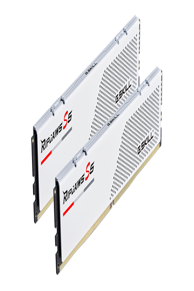 F5-5200J4040A16GX2-RS5W