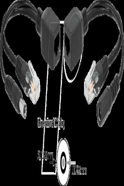 Delock Passive PoE Adapter Set RJ45 DC 5.5 x 2.5 mm - 66024