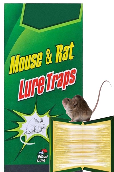 Piège à colle forte parfumée pour souris et rats Extralink 1335 (50 pièces)