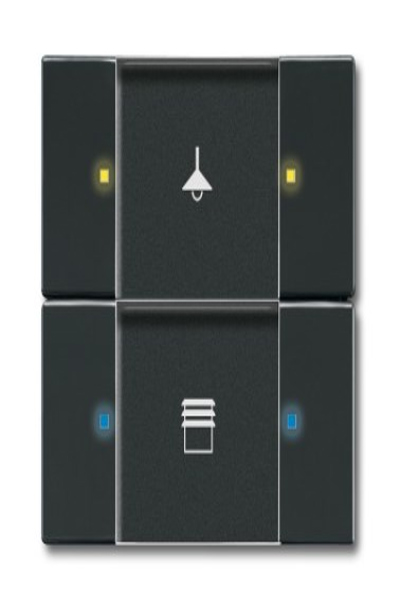 BUSCH JAEGER 6126/02-81 Anthrazit (6116-0-0183)