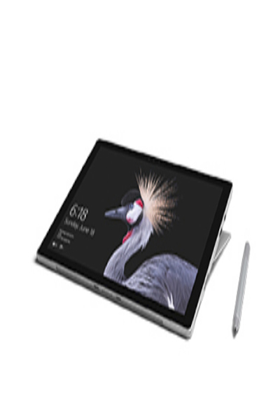 Microsoft Surface Pro-surfplatta - GWP-00003