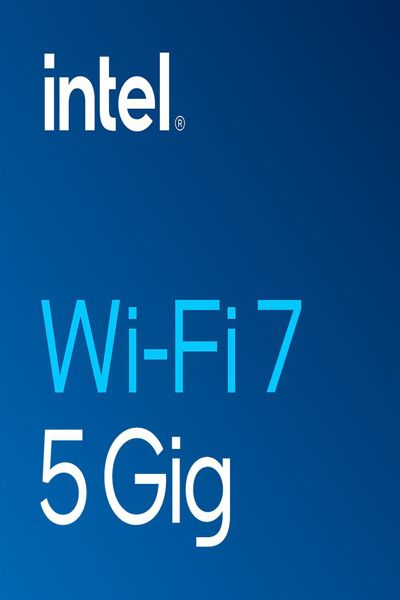 Intel Wi-Fi 7 BE200 - Network adapter - BE200.NGWG