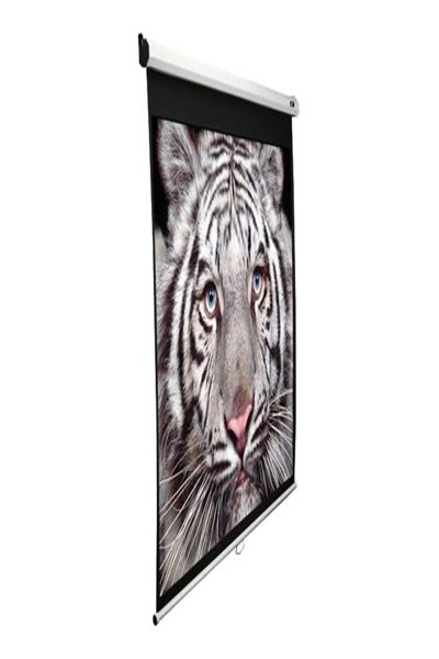 Store enrouleur Elite Screens 16 10 manuel blanc - Écran déroulant - 325,1 cm