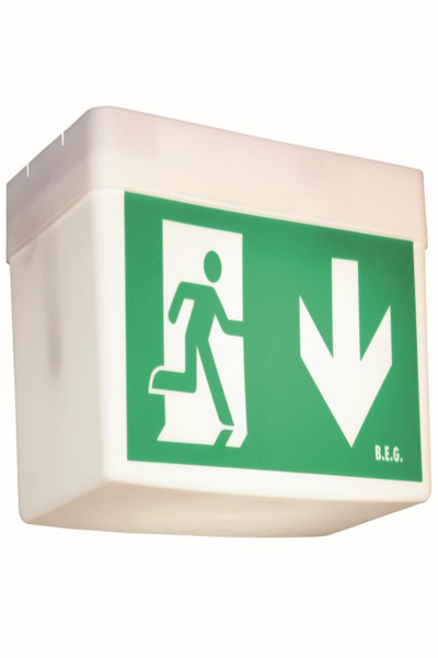 B.E.G. Brück Emergency and Reference luminaire BD21/6/3-LLD/W/D - 93002