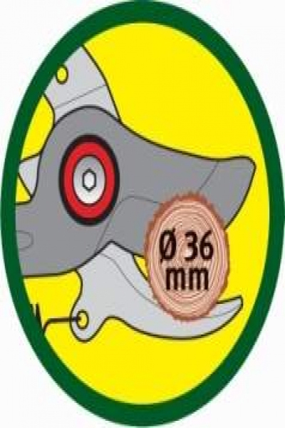 WOLF-Garten RR-VM - Grey - Red - Battery