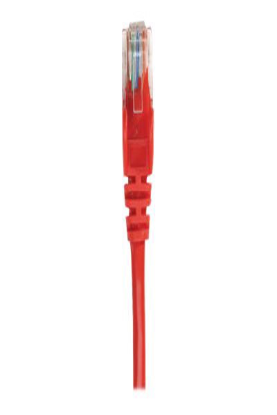 Intellinet Network Patch Cable, Cat5e, 0.5m, Red, CCA, U/UTP - 318198