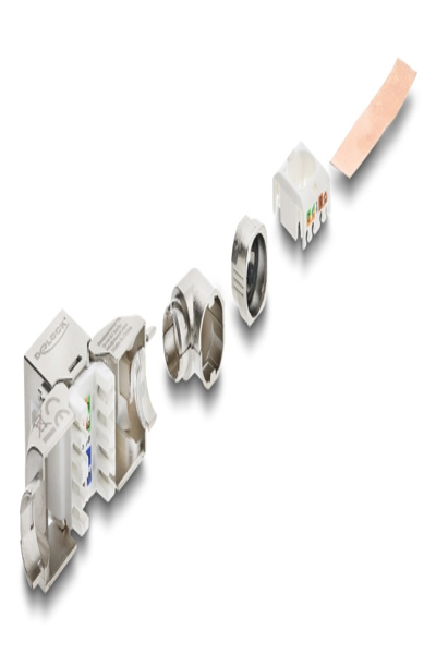 Delock Keystone Module RJ45 Jack to LSA Cat.6a 90Â° - 90800
