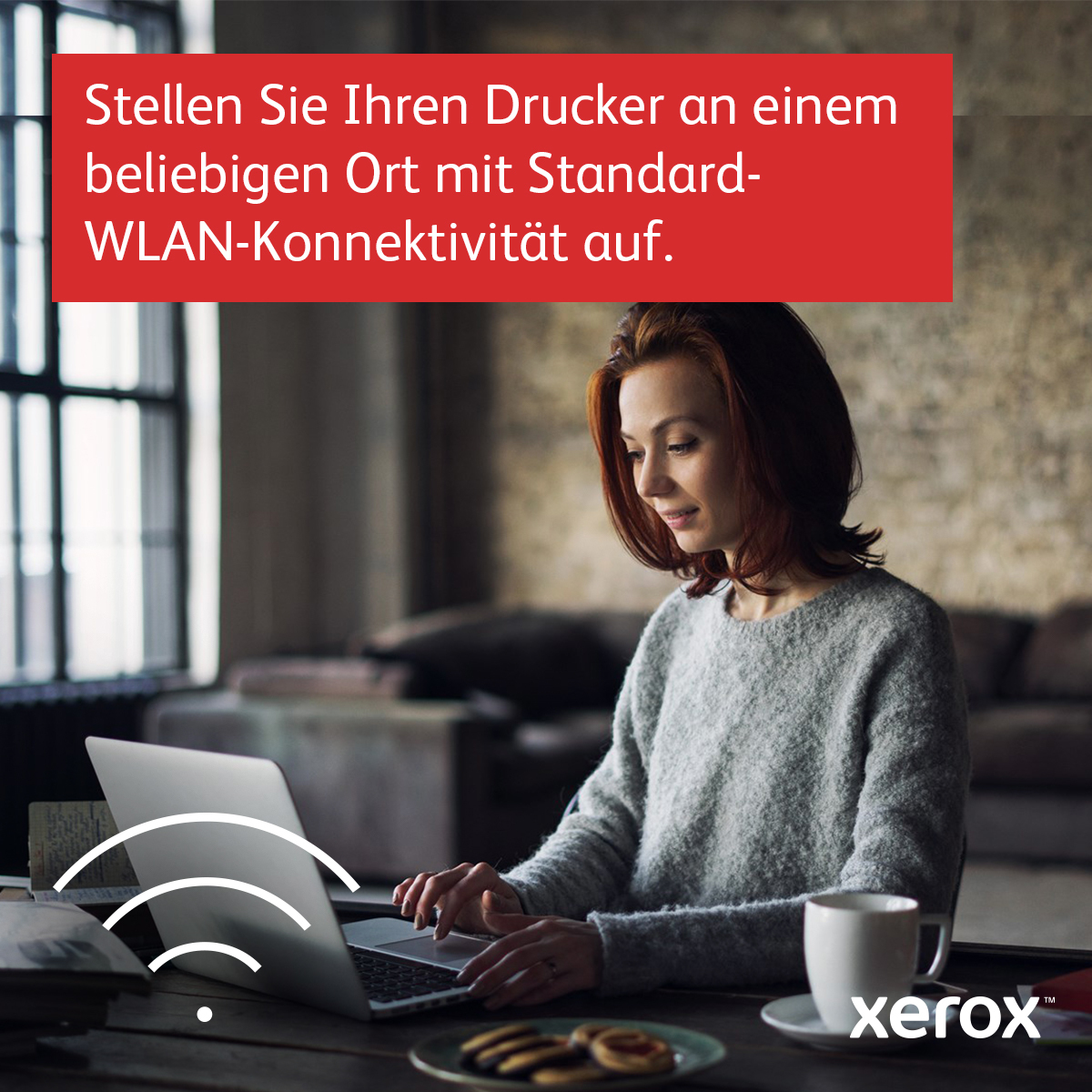 Xerox C230 Color Laser Printer - C230V_DNI