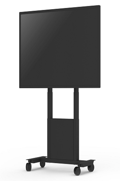 100014081