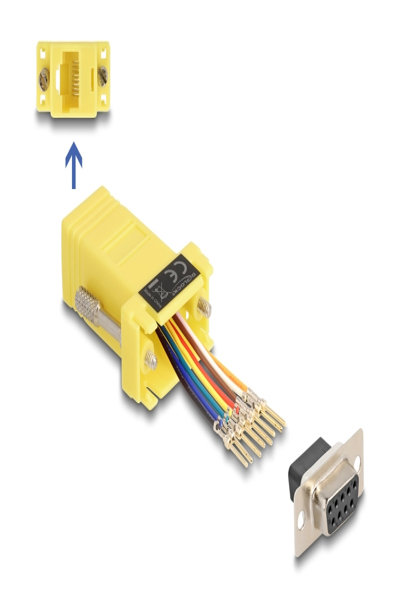 Delock Serial adapter - DB-9 (F) screwable to RJ-45 (8 pin) (F) - 67107