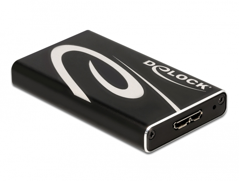Delock storage space - mSATA - 42006