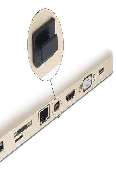 Delock Dammskydd för mini Displayport - 64026