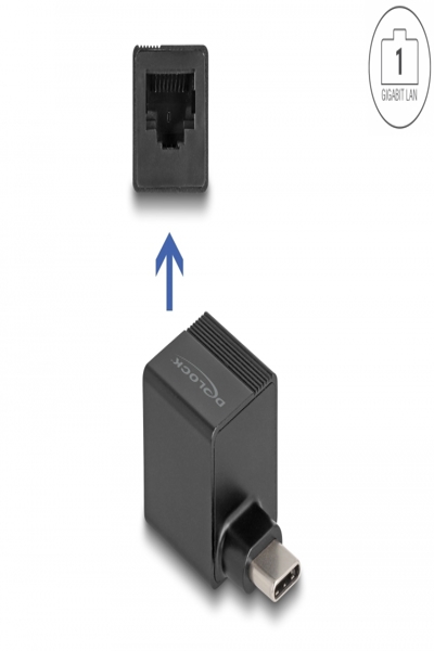 Delock-adapter till Gigabit LAN mini - 66462
