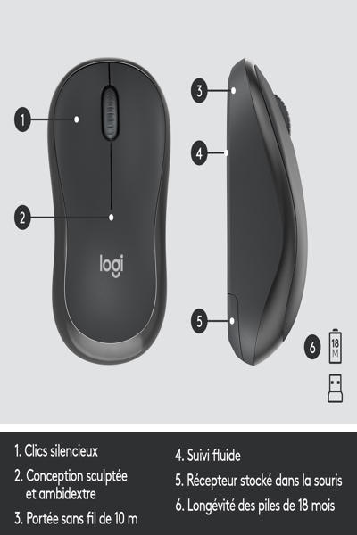Logitech MK295 Silent Wireless Combo - Full-size (100%) - Wireless - RF Wireless - AZERTY - Graphite - Mouse included - 920-009803