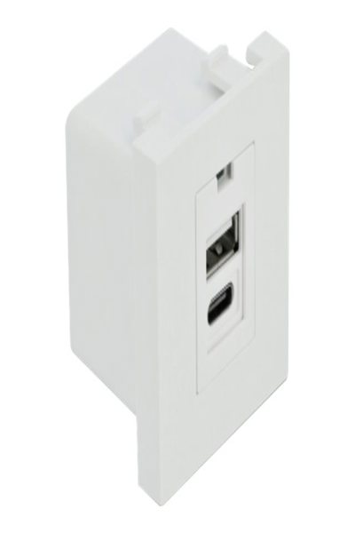 Delock Easy 45 - Prise USB