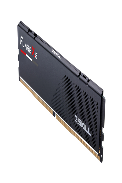 G.Skill F5-6000J3038F16GH1-FX5 RAM Memory Flare DDR5 Modul GB DIMM