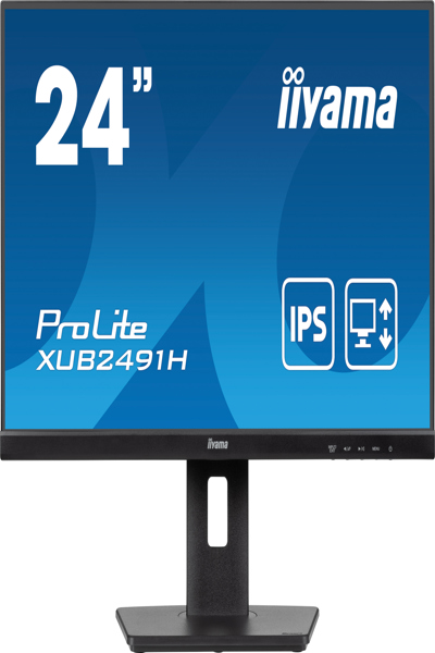 Moniteur LED Iiyama ProLite XUB2491H-B1