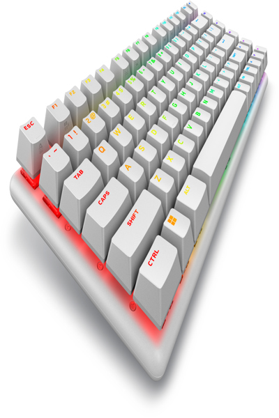 Dell Alienware Pro Wireless Gaming Keyboard - Lunar Light - Keyboard - QWERTY - PRO-KB-W-WW
