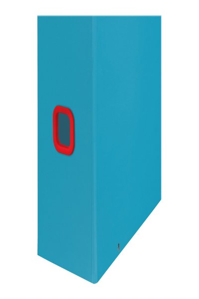 53560061