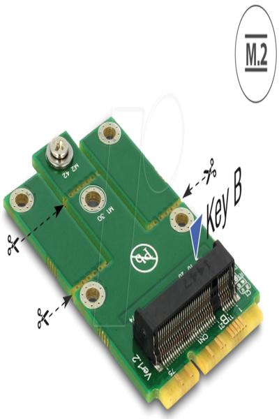 Delock-adapter MiniPCIe > M.2 NGFF - 62654