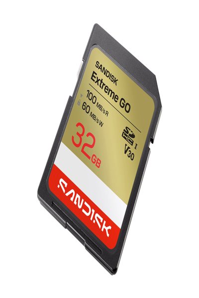 SanDisk Extreme SD UHS-I/s R - Secure Digital (SD) - SDSDXGN-032G-GNCIN