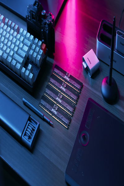 KINGSTON FURY RENEGADE PRO DDR5 KIT 32 GB - KF568R34RB2K8-256