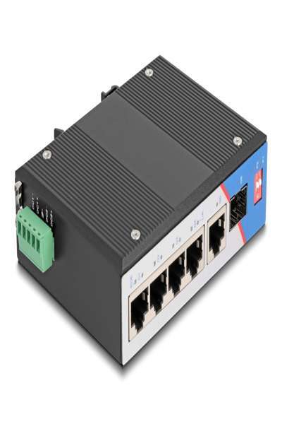 Delock Industrial Switch PoE 1 Gbps - 80164