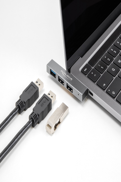 Delock 3 ports - 64274 - Hub USB fin