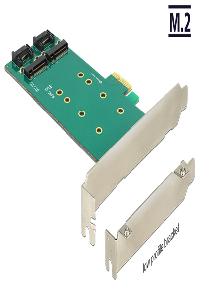Delock PCI Express-kort > 2 x intern M.2 - 89473