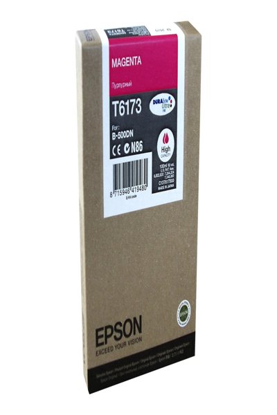 C13T617300